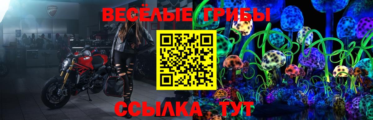 Жигулёвск  Псилоцибиновые грибы мицелий  Вход с VPN 